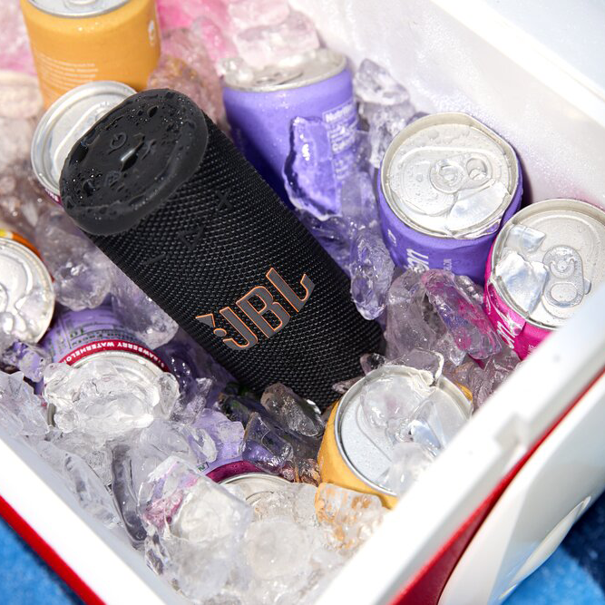 JBL Grip